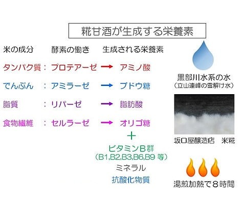 糀甘酒が生成する栄養素の図